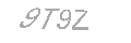 Güvenlik Kodu
